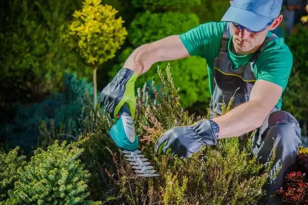 landscaping services Nesconset